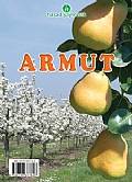 Armut