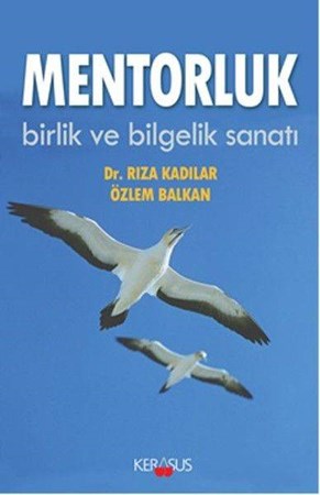 Mentorluk Birlik Ve Bilgelik Sanatı