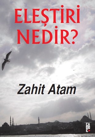 Eleştiri Nedir