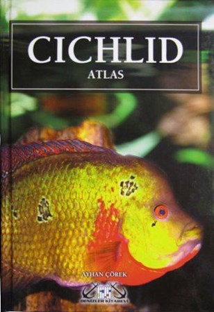 Cichlid Atlas Ciklet Atlası Akvaryum Balıkları
