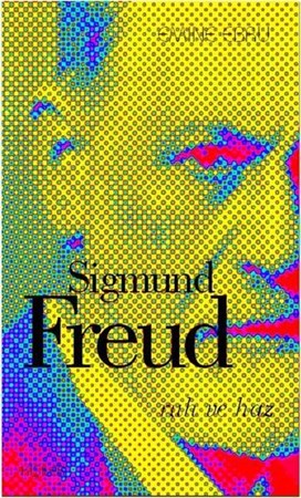 Sigmund Freud, Ruh Ve Haz