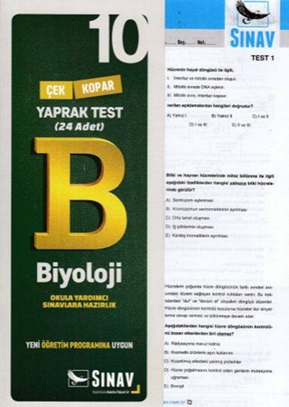 Sınav 10. Sınıf Biyoloji Çek Kopar Yaprak Test Yeni