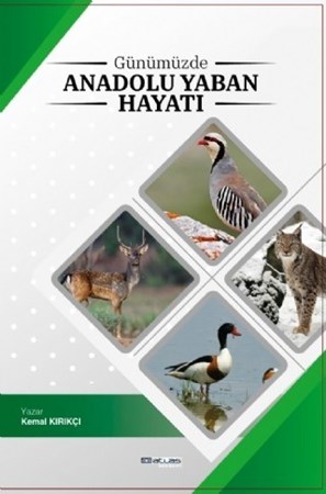 Günümüzde Anadolu Yaban Hayatı