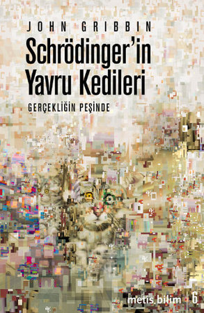 Schrödinger'in Yavru Kedileri  Gerçekliğin Peşinde