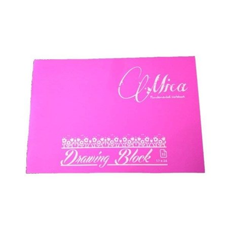 Mica Tel Dikişli Plastik Kapak 17x24 32 YP Resim Defteri (2056) Gıpta