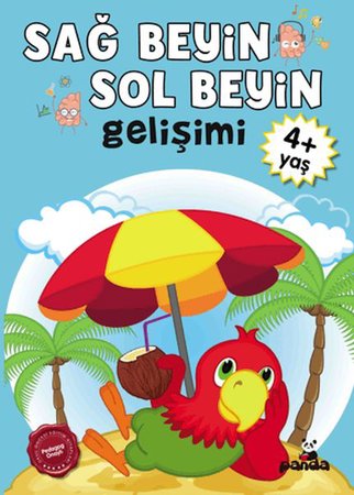 Sağ Beyin-Sol Beyin Gelişimi 4+ Yaş