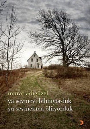 Ya Sevmeyi Bilmiyorduk Ya Sevmekten Ölüyorduk