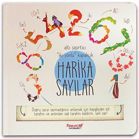 Harika Sayılar (Kapakçıklı)