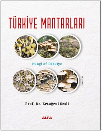 Türkiye Mantarları (Ciltli)