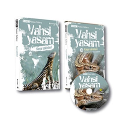 Vahşi Yaşam 2 Kaya Sakinleri