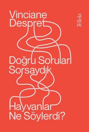 Doğru Soruları Sorsaydık Hayvanlar Ne Söylerdi?