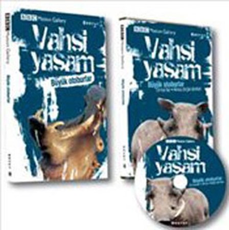 Vahşi Yaşam Büyük Otoburlar Dvd Ekli