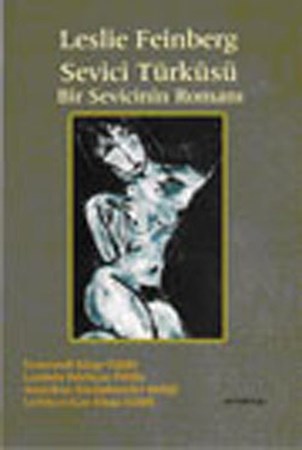 Bir Sevicinin Romanı