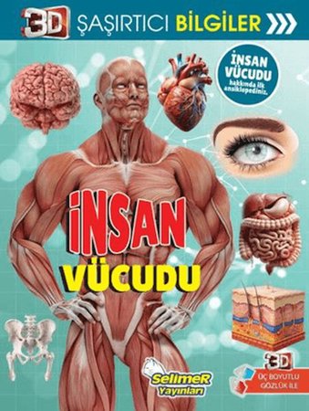 3D Şaşırtıcı Bilgiler - İnsan Vücudu