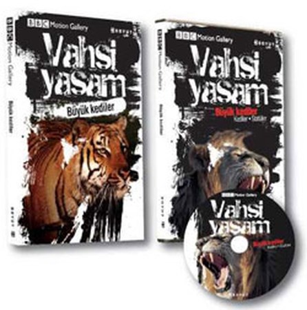 Vahşi Yaşam Büyük Kediler Dvd Ekli