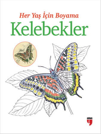 Her Yaş İçin Boyama - Kelebekler