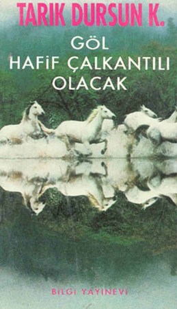 Göl Hafif Çalkantılı Olacak