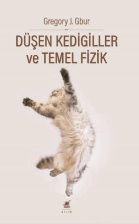 Du¨şen Kedigiller ve Temel Fizik