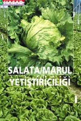 Salata Marul Yetiştiriciliği