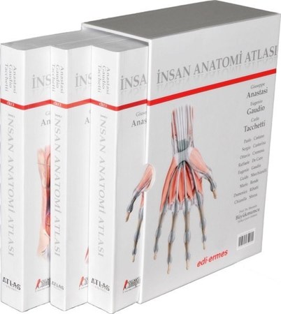 İnsan Anatomisi Atlası - 3 Cilt