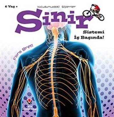 Sinir Sistemi İş Başında! - Vücudumuzdaki Sistemler