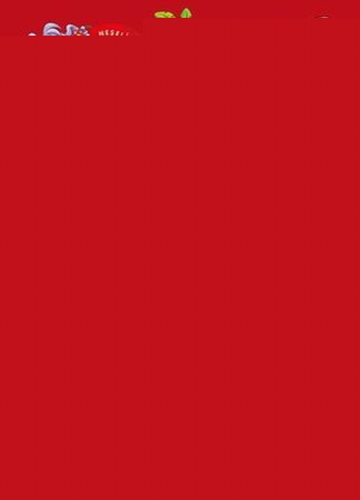 Nehir Gezisi / Neşeli Orman Hikayeleri (Büyük Boy)