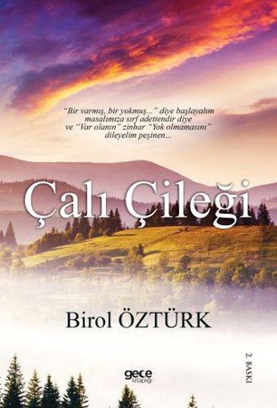 Çalı Çileği Ciltli