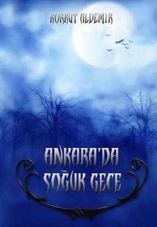 Ankara'da Soğuk Gece