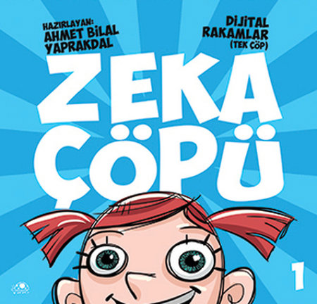 Zeka Çöpü 1- Dijital Rakamlar (Tek Çöp)