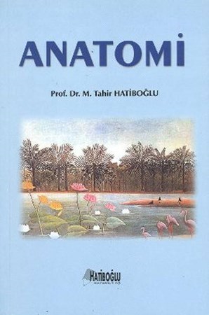Anatomi