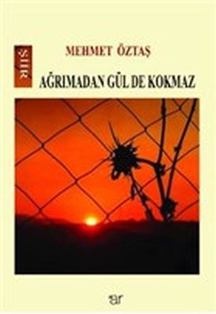 Ağrımadan Gül De Kokmaz