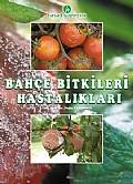 Bahçe Bitkileri Hastalıkları