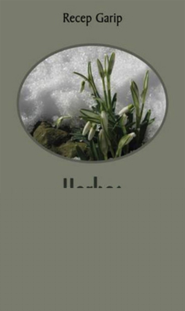 Herkes İçindeki Dünya Kadardır