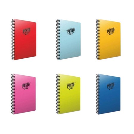 Punto Spiralli Plastik Kapak Defter A4 120 Yaprak Kareli (6539) Gıpta
