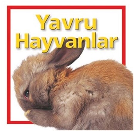 Yavru Hayvanlar Ciltlii