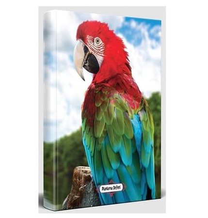 Gökkuşağı - Planlama Defteri