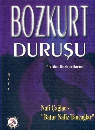 Bozkurt Duruşu