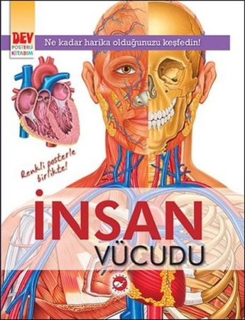 Dev Posterli Kitabım - İnsan Vücudu