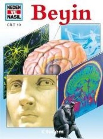 Beyin Neden Ve Nasıl 10