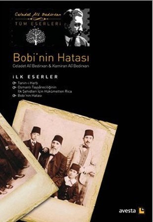 Bobi'nin Hatası