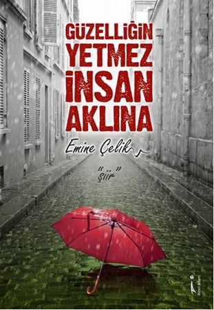 Güzelliğin Yetmez İnsan Aklına