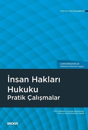 Tamamı Çözümlü İnsan Hakları Hukuku Pratik Çalışmalar (Cumhurbaşkanlığı Hükümet Sistemine Uygun)