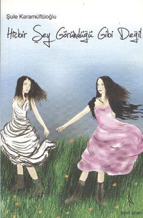 Hiçbir Şey Göründüğü Gibi Değil