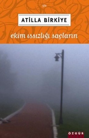 Ekim Issızlığı Saçların