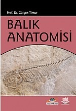 Balık Anatomisi