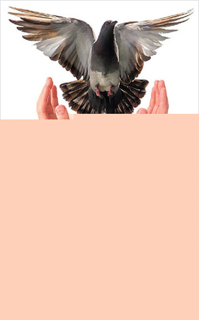 Dili Yok Kalbimin (Yazılar 2015 - I)