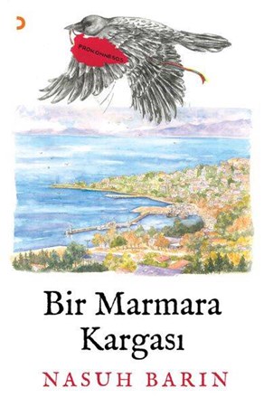 Bir Marmara Kargası