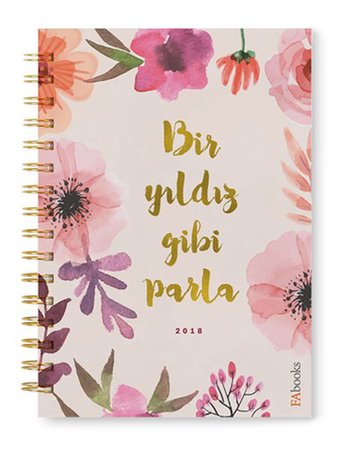 Bir Yıldız Gibi Parla - 2018 Planlayıcı (Ciltli)