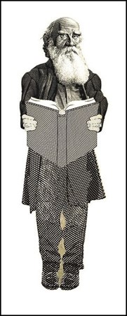 Tolstoy Ayraç Aylak Adam Hobi