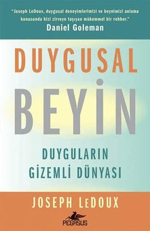 Duygusal Beyin: Duyguların Gizemli Dünyası